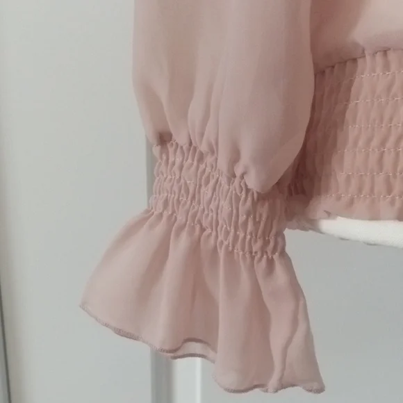 Chic Blush Ruffle Blouse - Picture 5 of 13